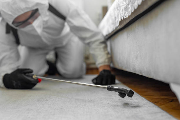 Professional Pest Control technician working in Rains County County, TX